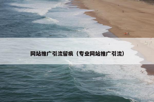 网站推广引流留痕（专业网站推广引流）