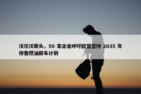 沃尔沃牵头，50 家企业呼吁欧盟坚持 2035 年停售燃油新车计划